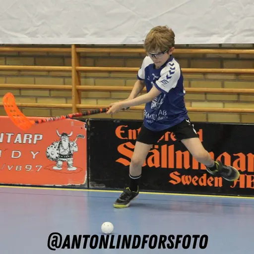Foto: Anton Lindfors Foto | Vid användning av bilderna tagga @antonlindforsfoto på dina sociala medier!