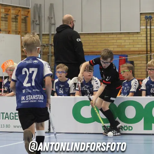 Foto: Anton Lindfors Foto | Vid användning av bilderna tagga @antonlindforsfoto på dina sociala medier!