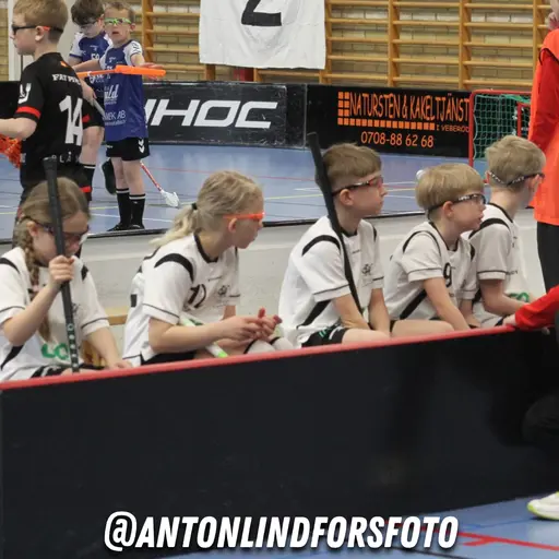 Foto: Anton Lindfors Foto | Vid användning av bilderna tagga @antonlindforsfoto på dina sociala medier!