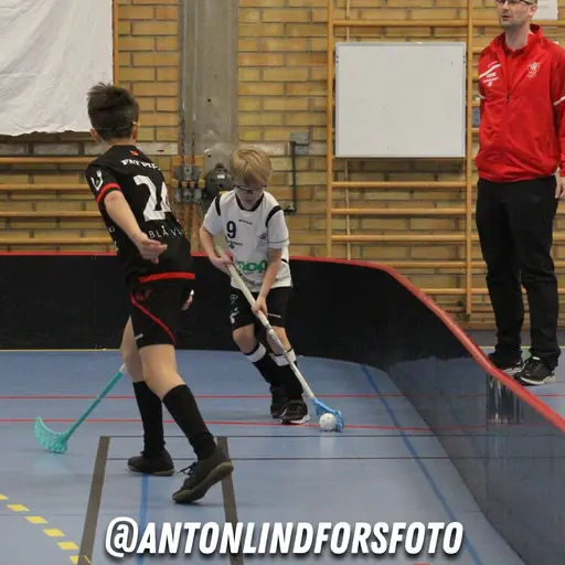Foto: Anton Lindfors Foto | Vid användning av bilderna tagga @antonlindforsfoto på dina sociala medier!