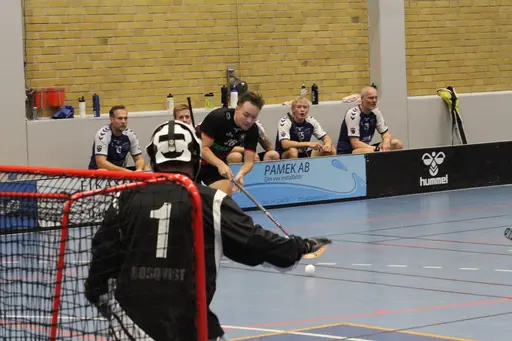 Foto: Anton Lindfors Foto | Vid användning av bilderna tagga @antonlindforsfoto på dina sociala medier!