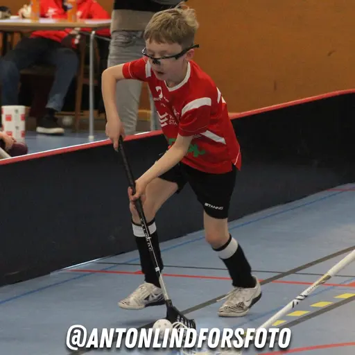 Foto: Anton Lindfors Foto | Vid användning av bilderna tagga @antonlindforsfoto på dina sociala medier!
