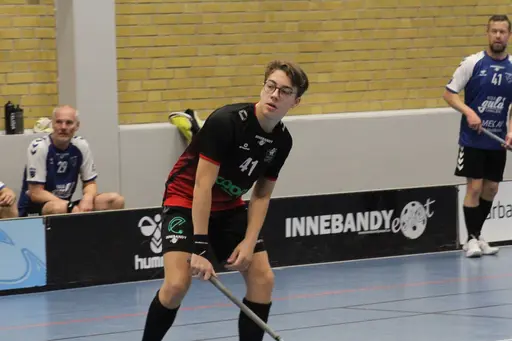 Foto: Anton Lindfors Foto | Vid användning av bilderna tagga @antonlindforsfoto på dina sociala medier!