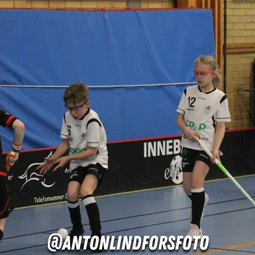 Foto: Anton Lindfors Foto | Vid användning av bilderna tagga @antonlindforsfoto på dina sociala medier!