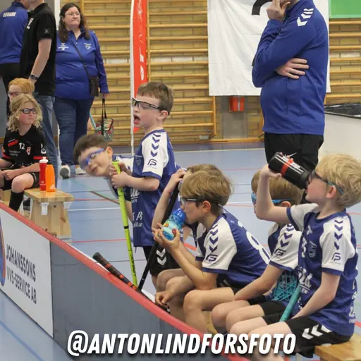 Foto: Anton Lindfors Foto | Vid användning av bilderna tagga @antonlindforsfoto på dina sociala medier!