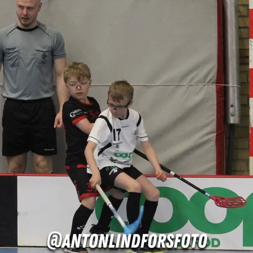 Foto: Anton Lindfors Foto | Vid användning av bilderna tagga @antonlindforsfoto på dina sociala medier!