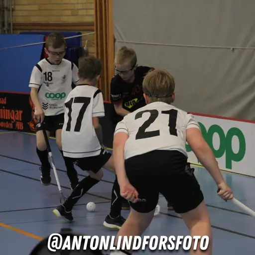 Foto: Anton Lindfors Foto | Vid användning av bilderna tagga @antonlindforsfoto på dina sociala medier!