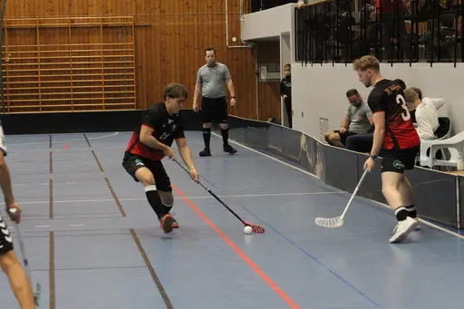 Foto: Anton Lindfors Foto | Vid användning av bilderna tagga @antonlindforsfoto på dina sociala medier!