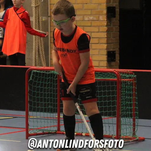 Foto: Anton Lindfors Foto | Vid användning av bilderna tagga @antonlindforsfoto på dina sociala medier!