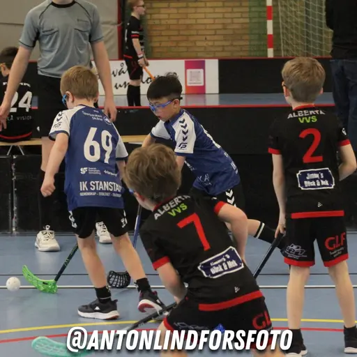 Foto: Anton Lindfors Foto | Vid användning av bilderna tagga @antonlindforsfoto på dina sociala medier!