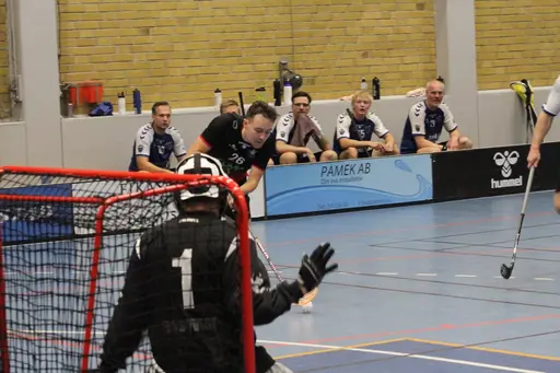 Foto: Anton Lindfors Foto | Vid användning av bilderna tagga @antonlindforsfoto på dina sociala medier!