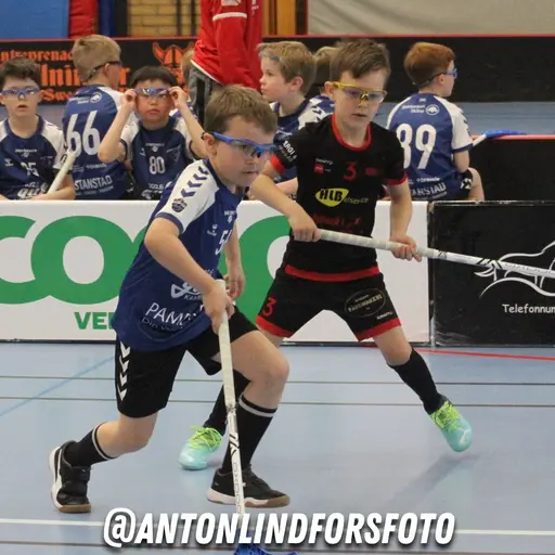 Foto: Anton Lindfors Foto | Vid användning av bilderna tagga @antonlindforsfoto på dina sociala medier!