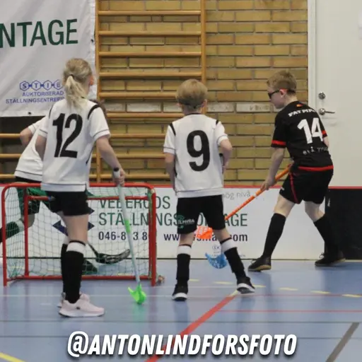 Foto: Anton Lindfors Foto | Vid användning av bilderna tagga @antonlindforsfoto på dina sociala medier!