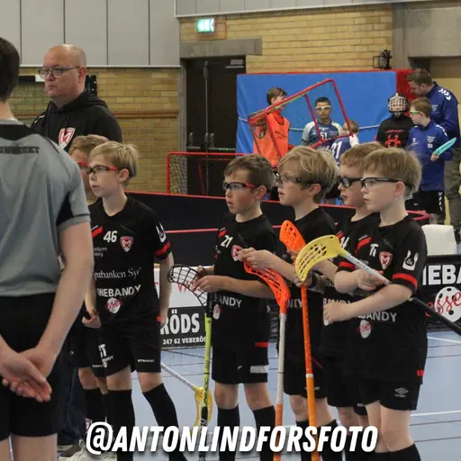 Foto: Anton Lindfors Foto | Vid användning av bilderna tagga @antonlindforsfoto på dina sociala medier!
