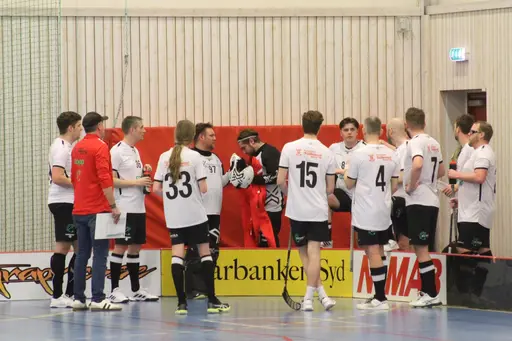 Foto: Anton Lindfors Foto