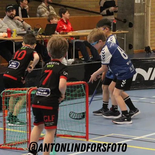 Foto: Anton Lindfors Foto | Vid användning av bilderna tagga @antonlindforsfoto på dina sociala medier!