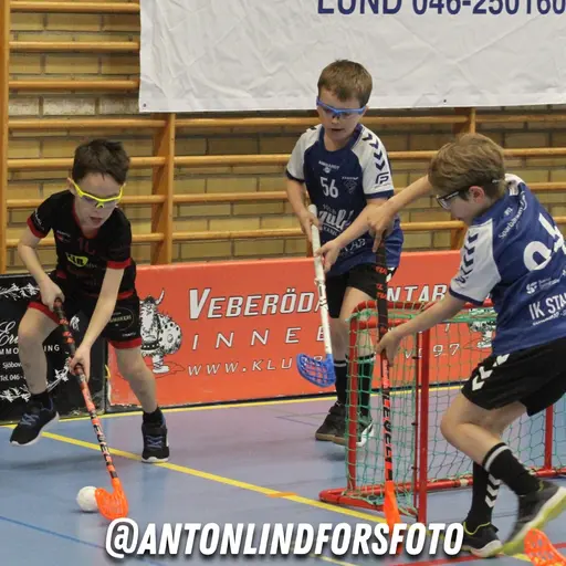 Foto: Anton Lindfors Foto | Vid användning av bilderna tagga @antonlindforsfoto på dina sociala medier!