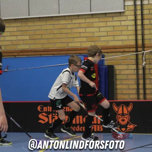 Foto: Anton Lindfors Foto | Vid användning av bilderna tagga @antonlindforsfoto på dina sociala medier!