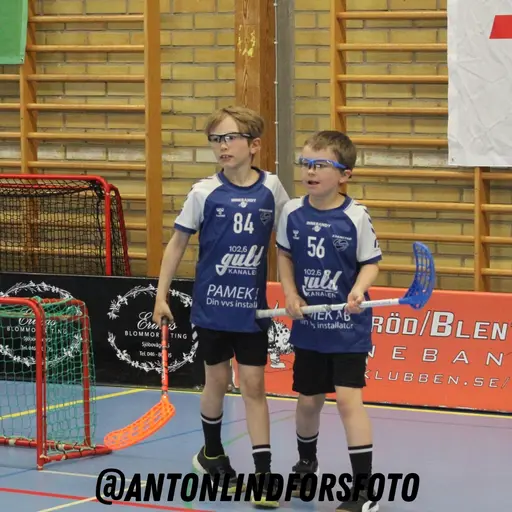 Foto: Anton Lindfors Foto | Vid användning av bilderna tagga @antonlindforsfoto på dina sociala medier!