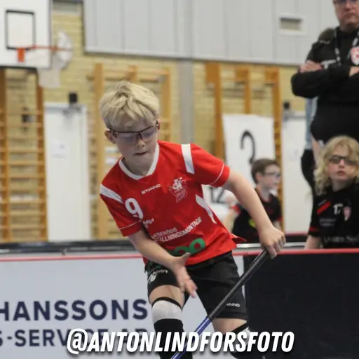 Foto: Anton Lindfors Foto | Vid användning av bilderna tagga @antonlindforsfoto på dina sociala medier!