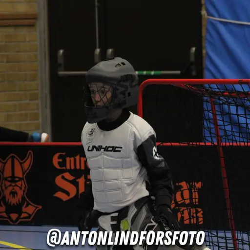 Foto: Anton Lindfors Foto | Vid användning av bilderna tagga @antonlindforsfoto på dina sociala medier!