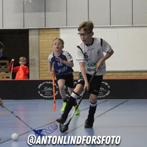 Foto: Anton Lindfors Foto | Vid användning av bilderna tagga @antonlindforsfoto på dina sociala medier!