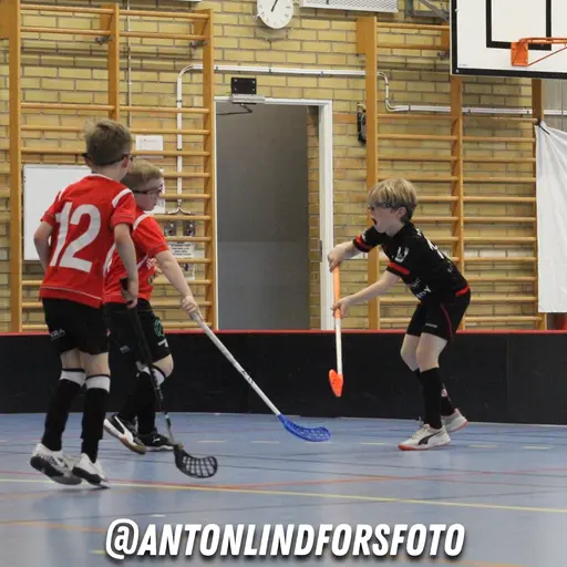 Foto: Anton Lindfors Foto | Vid användning av bilderna tagga @antonlindforsfoto på dina sociala medier!