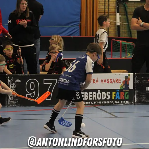 Foto: Anton Lindfors Foto | Vid användning av bilderna tagga @antonlindforsfoto på dina sociala medier!