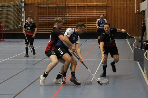 Foto: Anton Lindfors Foto | Vid användning av bilderna tagga @antonlindforsfoto på dina sociala medier!