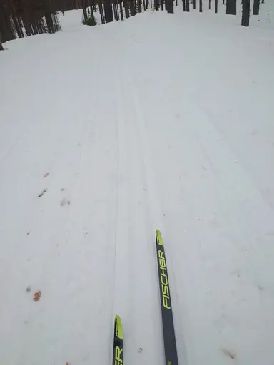 "Tjuvträning" i Rossön 9 mars.