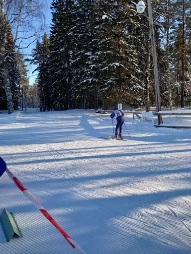 Flatarundan 2024