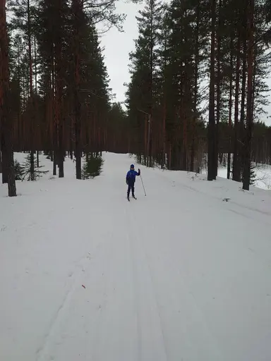 "Tjuvträning" i Rossön 9 mars.