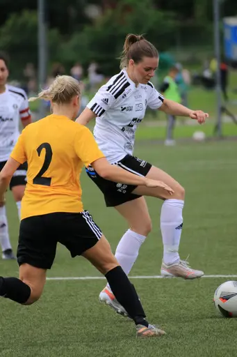 Bilder: Silfvergraf