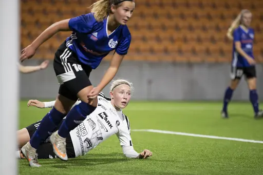 Riktigt bra bilder - Tack Jim Ahlerup - från finalen