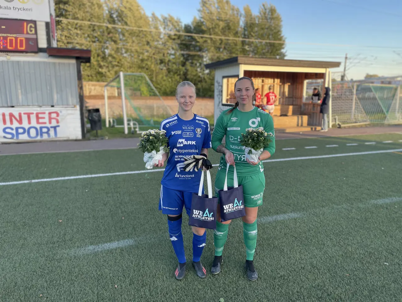 Foto: Damstyrelsen (högst tveksam fotokvalitet - men vi gör så gott vi kan!)