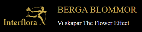 Berga Blommor