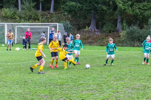 Massa sköna ögonblick från Karsbo Cup 2018.  Foto av Krister Dahlstrand