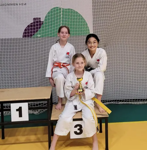 Några bilder från Boden Open