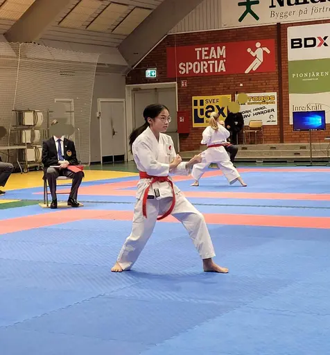 Några bilder från Boden Open