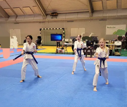 Några bilder från Boden Open