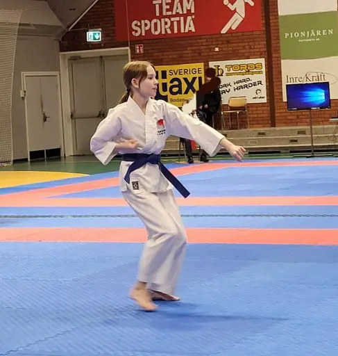 Några bilder från Boden Open