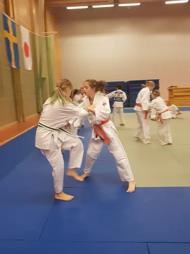 Bilder från Tjejhelgen 20-21 Okt 2018