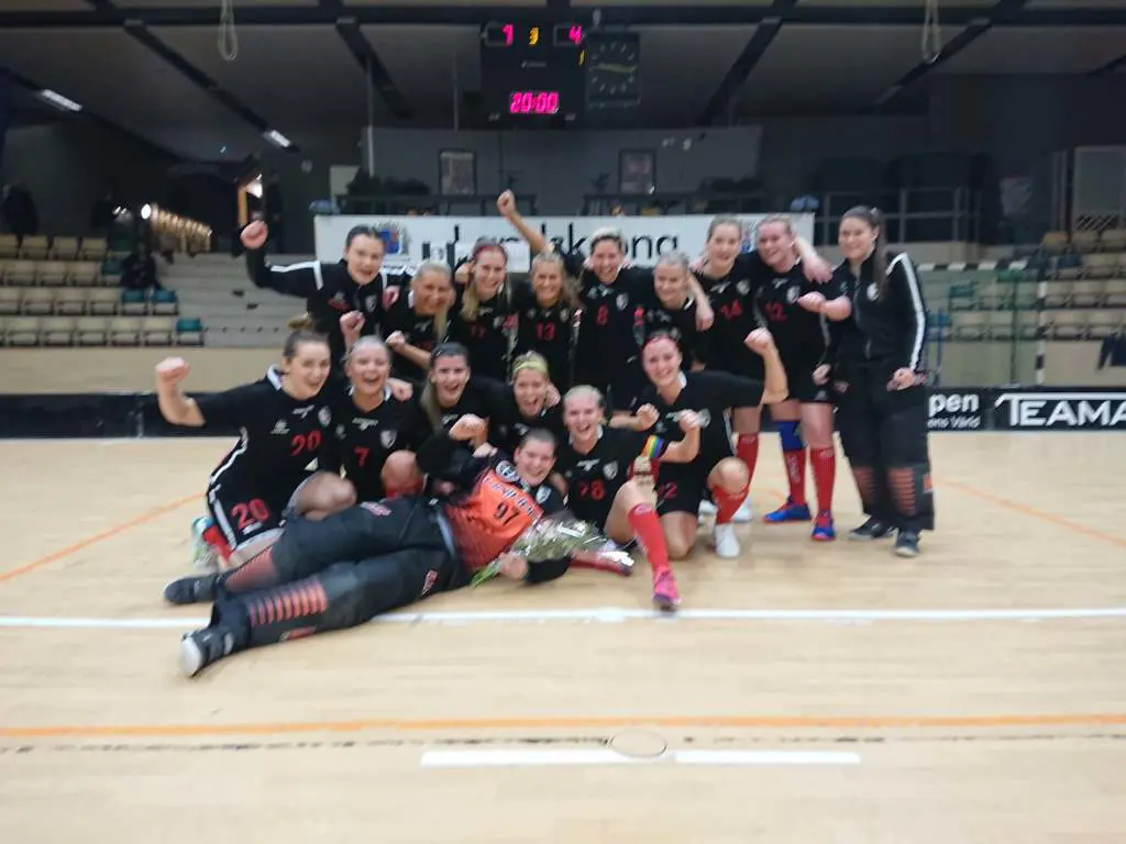 Landskrona Falcons fantastiska damlag.