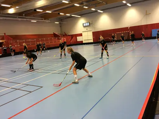 Foto: Anton Holmqvist