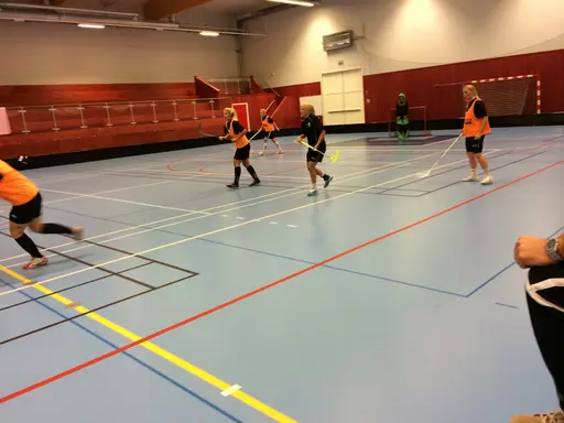 Foto: Anton Holmqvist