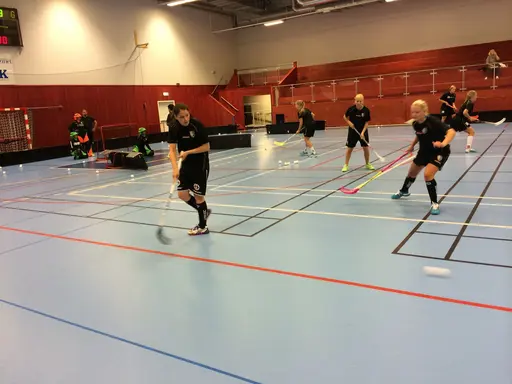 Foto: Anton Holmqvist