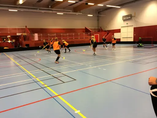 Foto: Anton Holmqvist