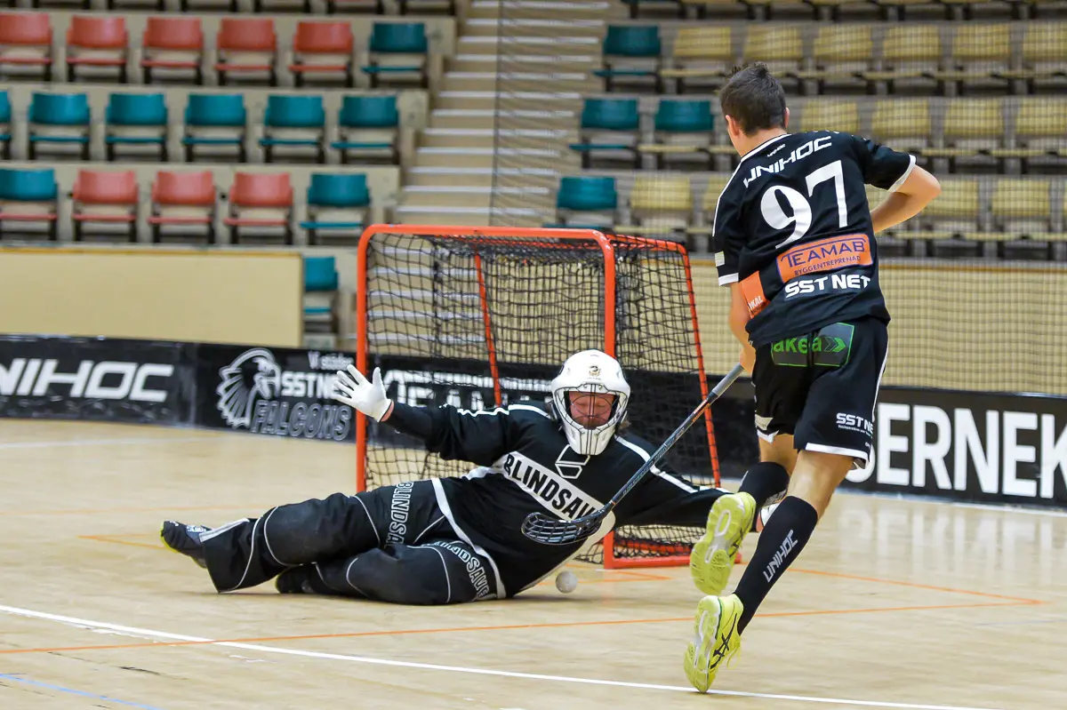 Falcons får tryckt in ett mål. Foto: Ulf Bjarke