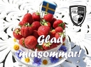 Glad midsommar önskar Landskrona Falcons 