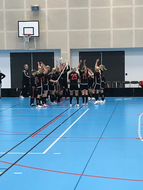Seger för damlaget mot FC Helsingborg!